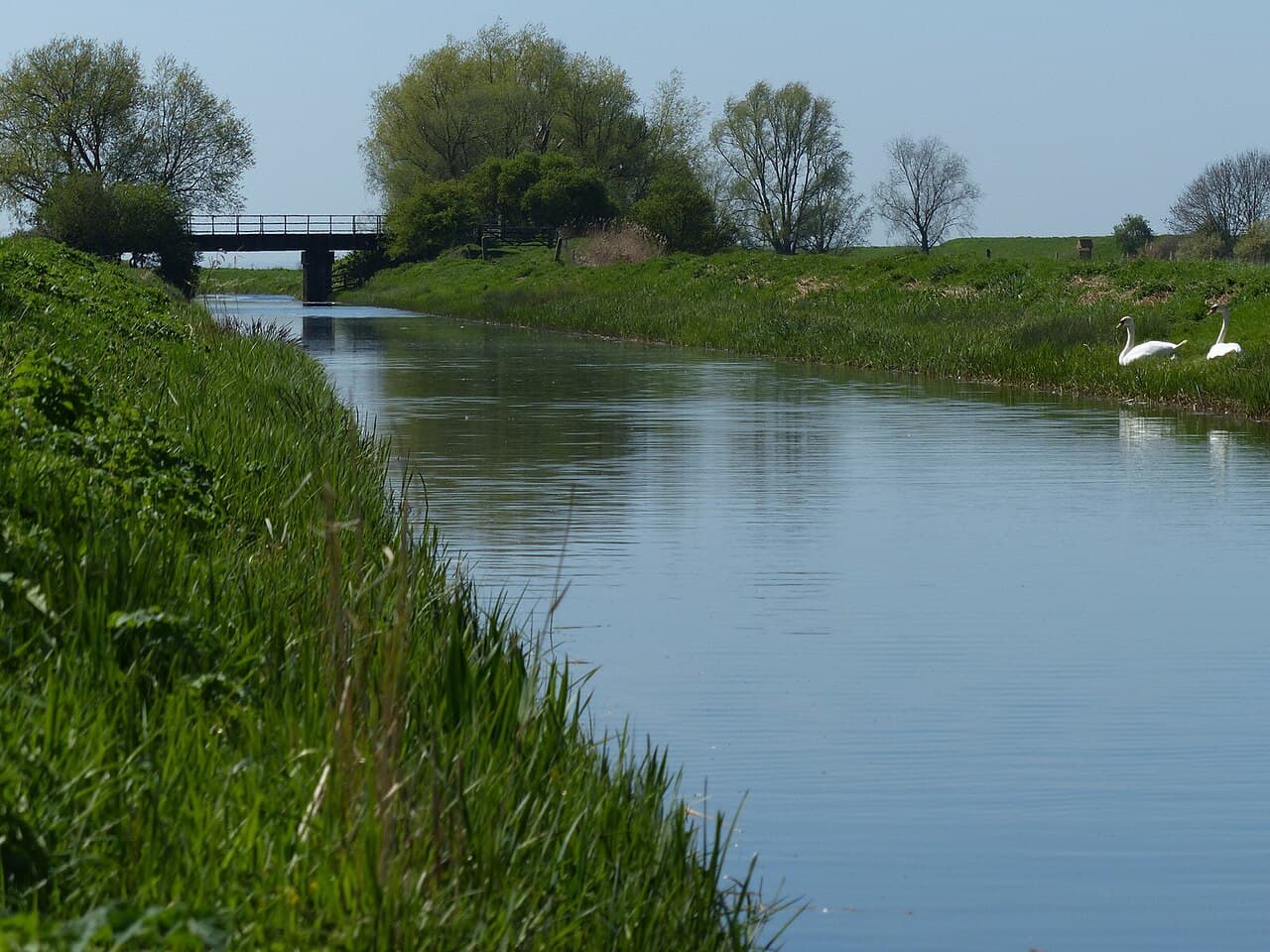Willow Tree Fen - Image 2