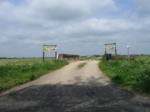 Willow Tree Fen - Image 3