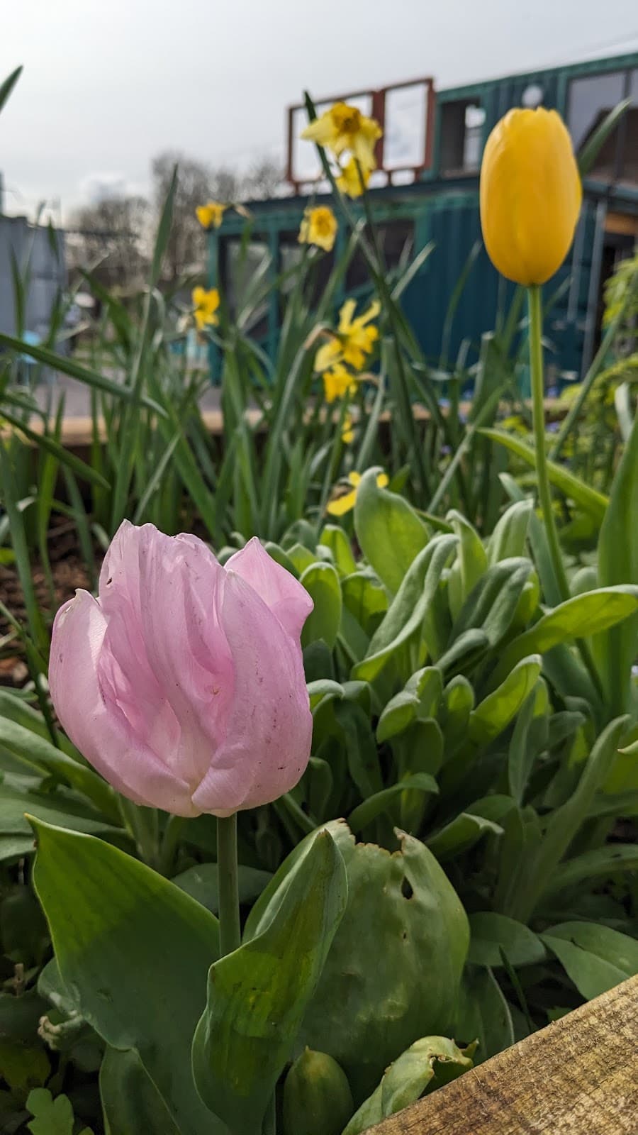 Railway Gardens - Image 1