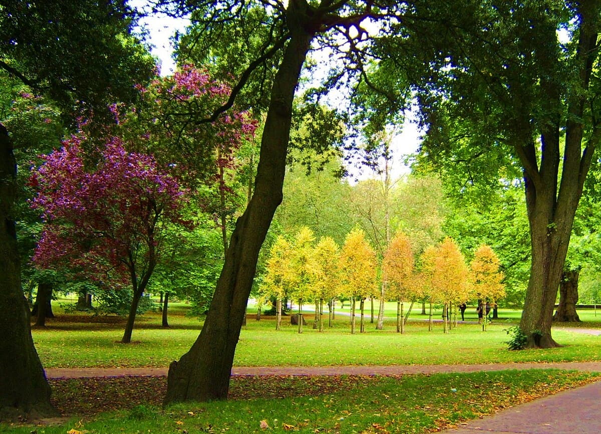 Bute Park - Image 1