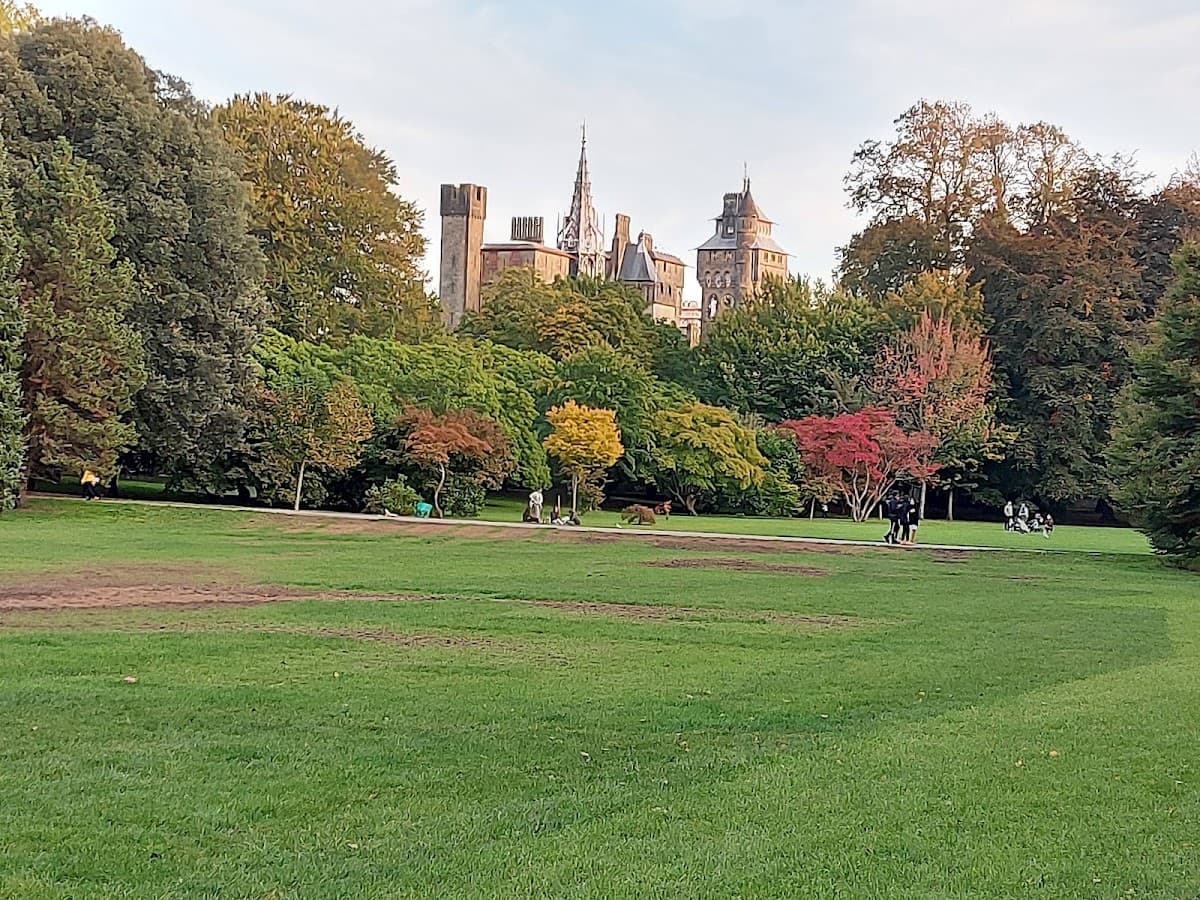Bute Park - Image 2