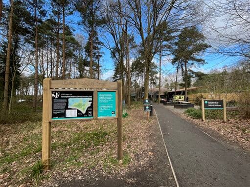 Essex Wildlife Trust Hanningfield Reservoir Nature Discovery Park - Image 3