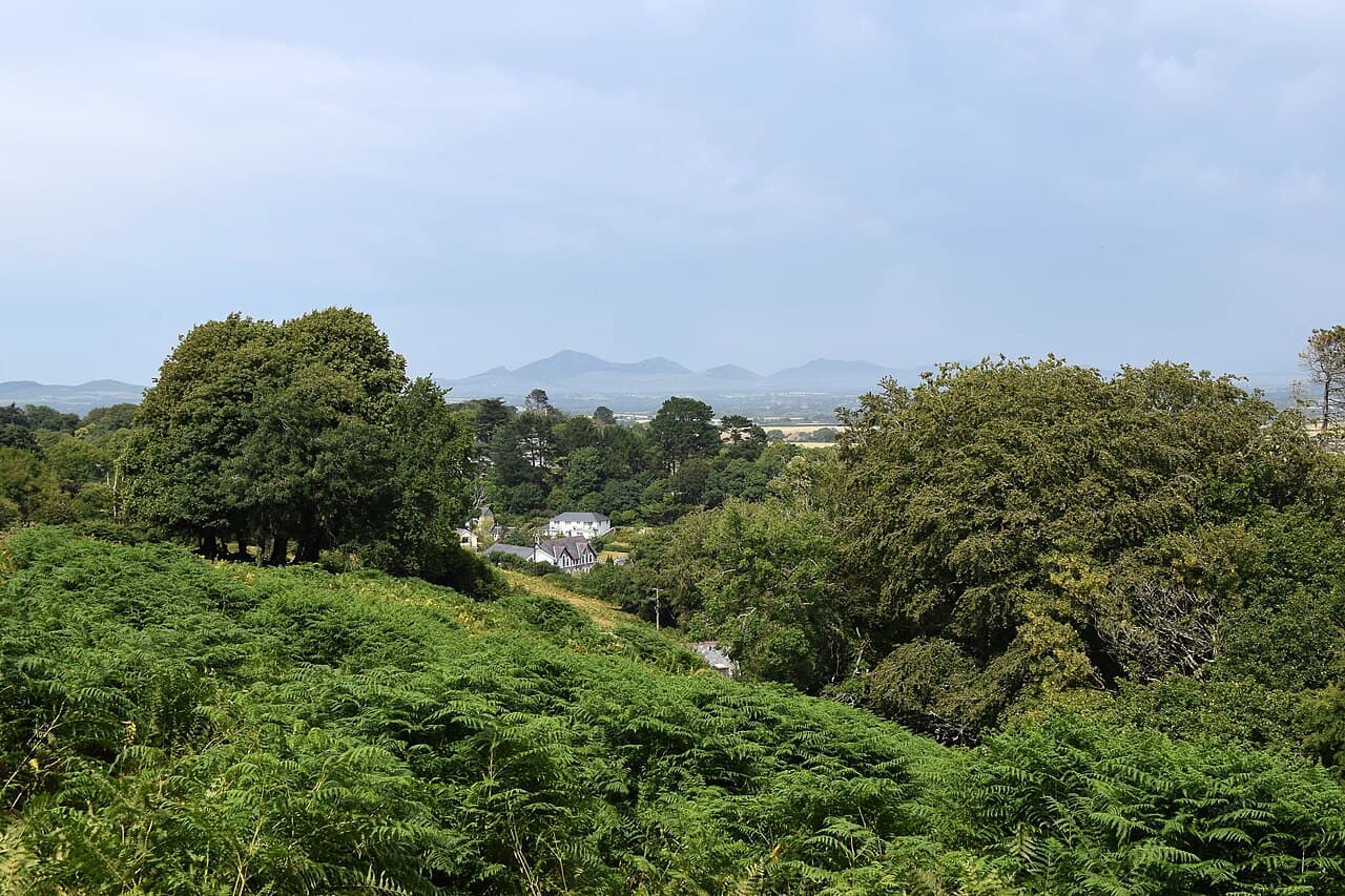 Llanbedrog Beach - Image 4