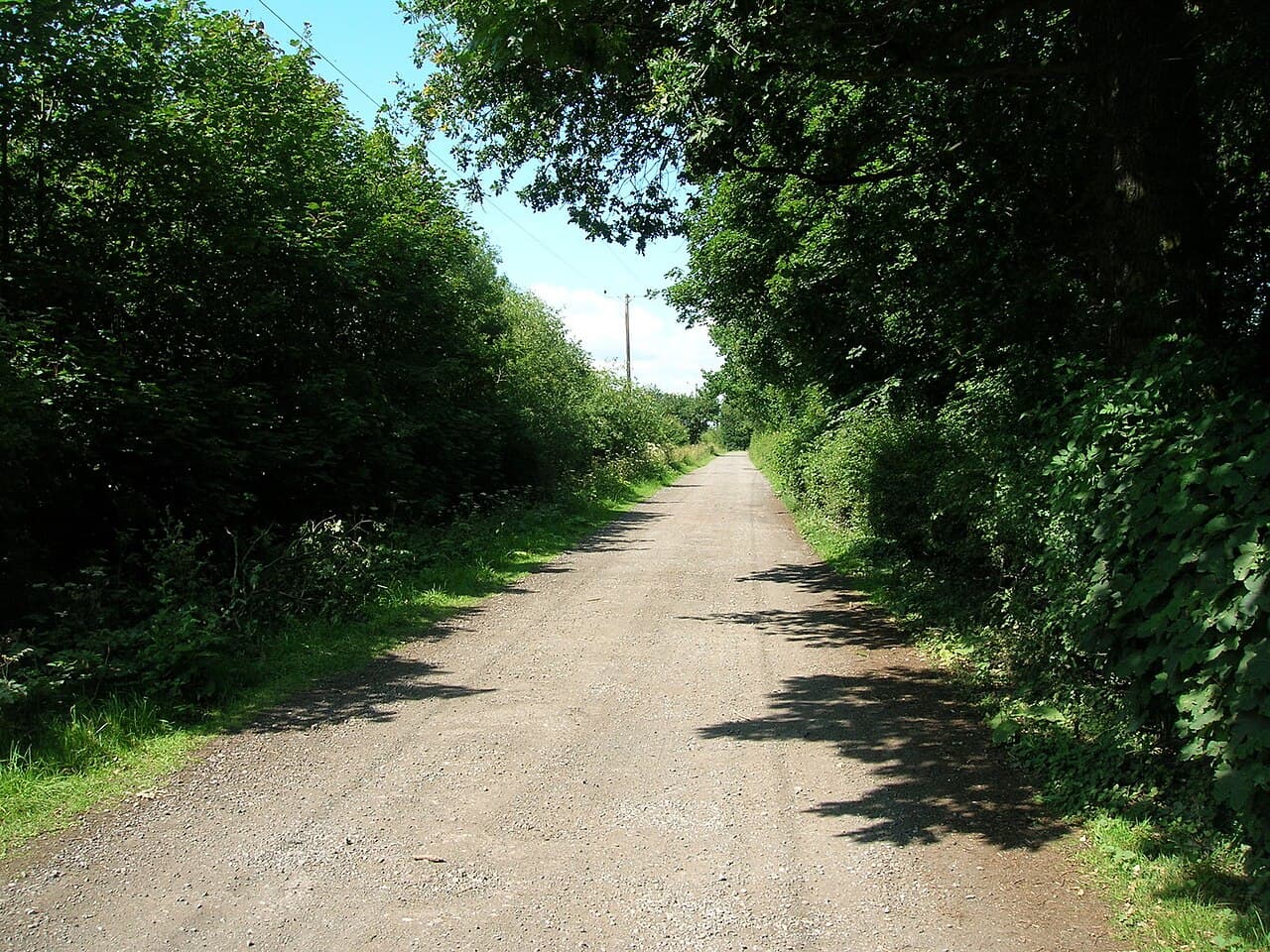 YWT Moorlands Woodland Nature Reserve - Image 3