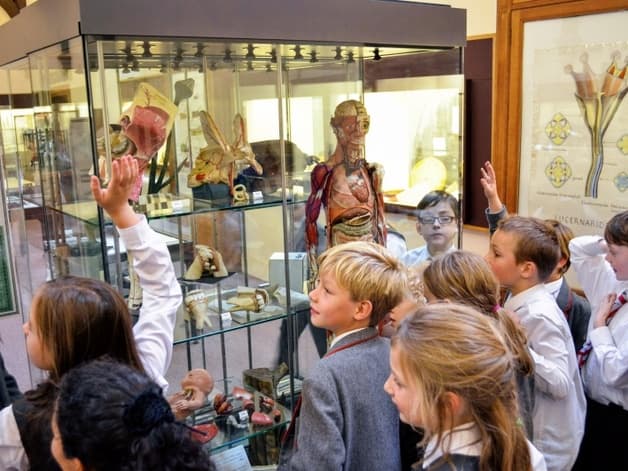 Whipple Museum of the History of Science - Image 3