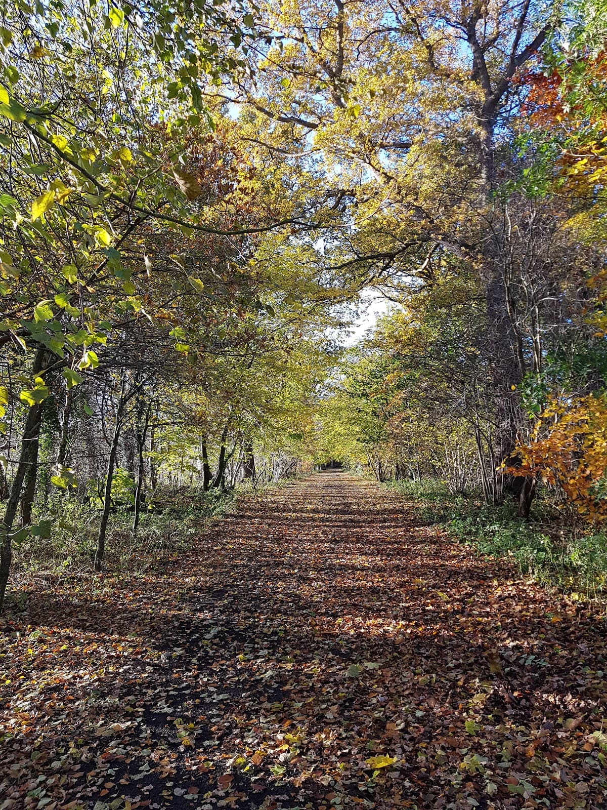 Cammo Estate - Image 2