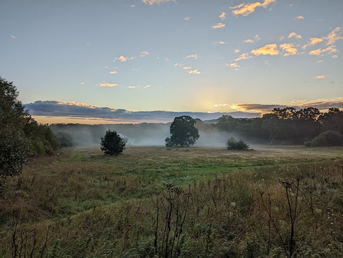 Cammo Estate - Image 3