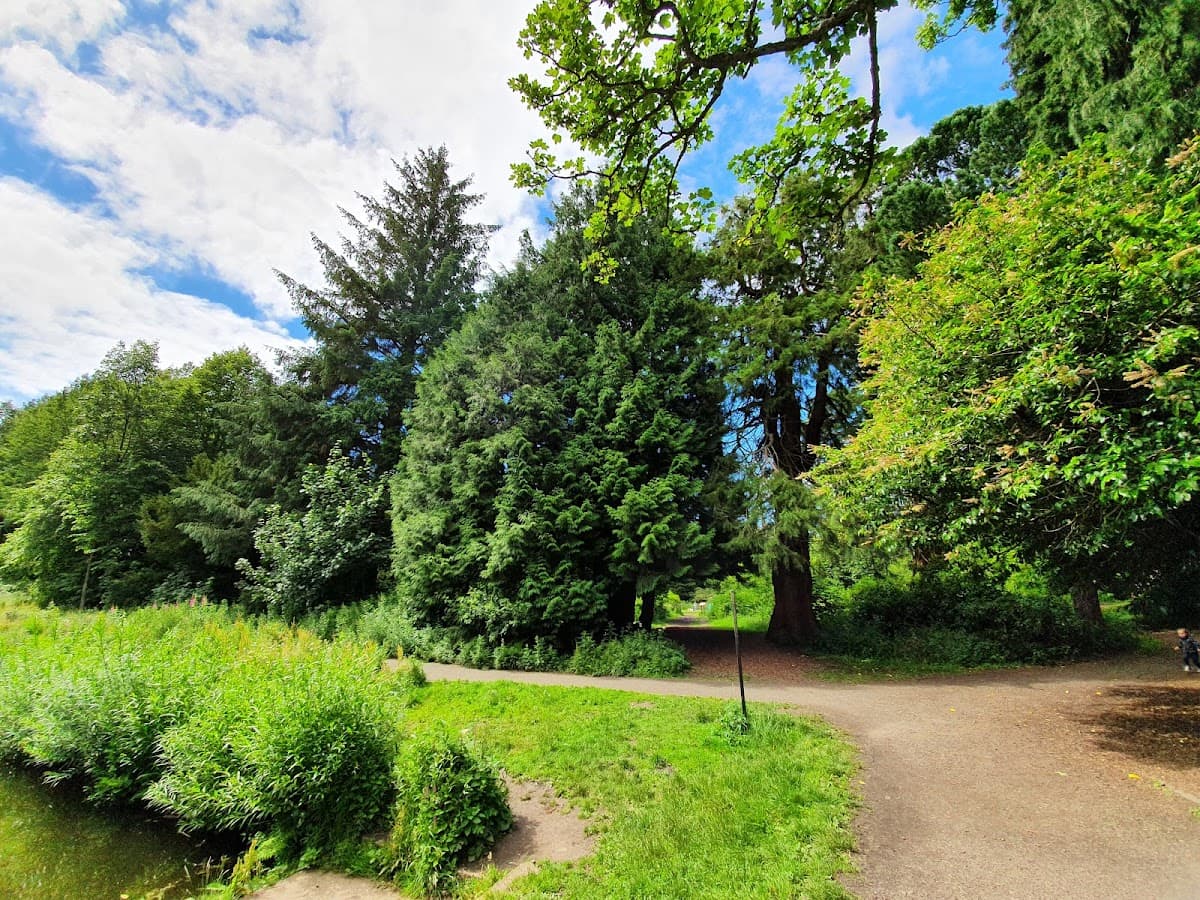 Cammo Estate - Image 4