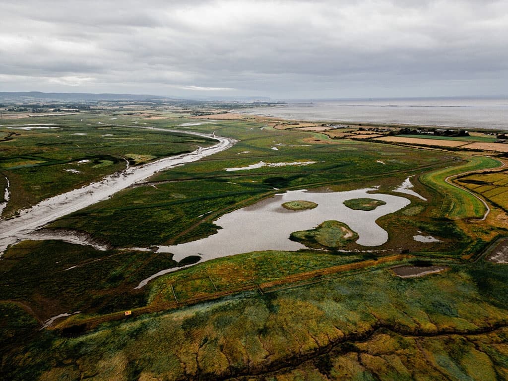 WWT Steart Marshes - Main view