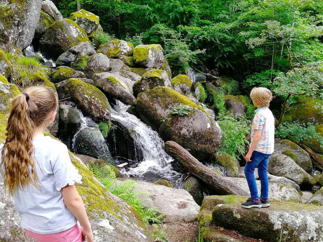 Becky Falls Ancient Woodland Park - Main view