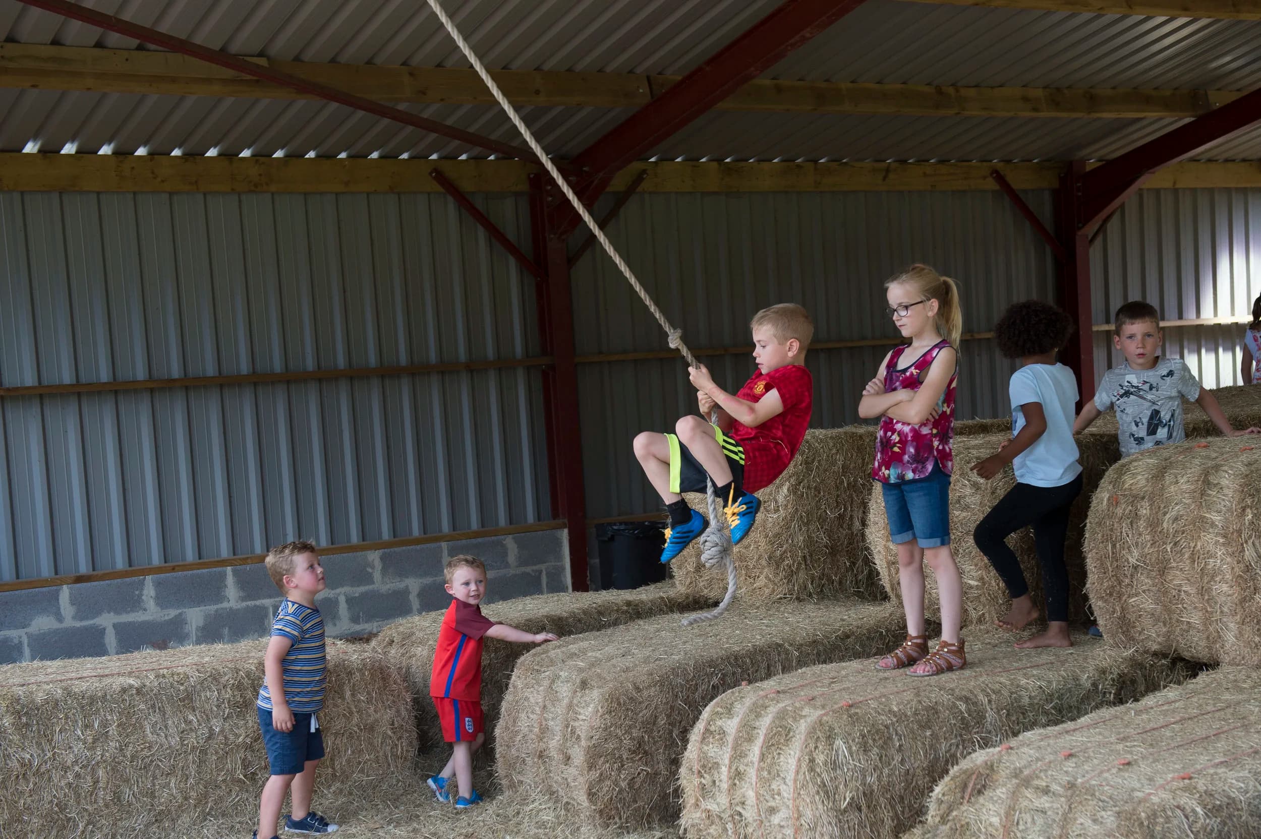 Newbridge Farm Park - Image 2