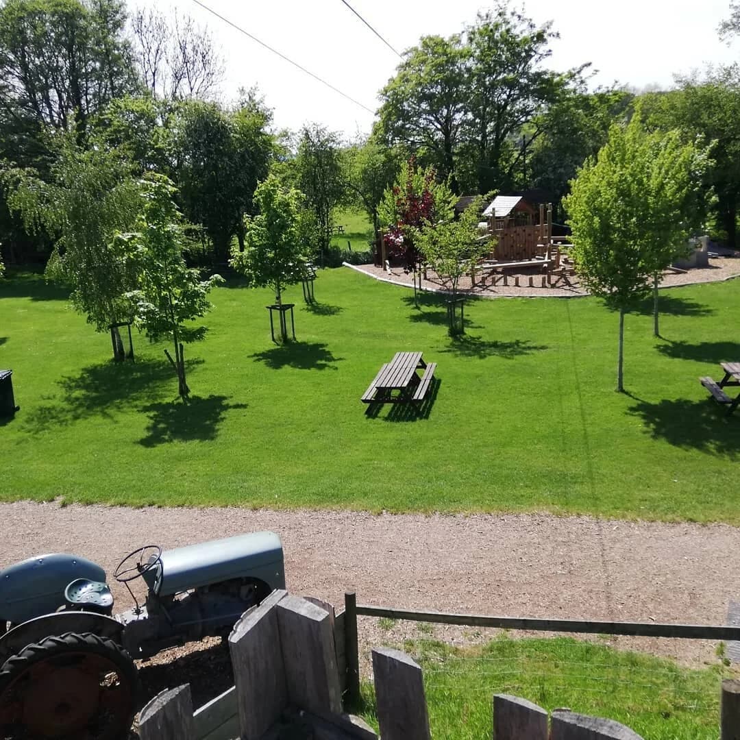 Newbridge Farm Park - Image 3
