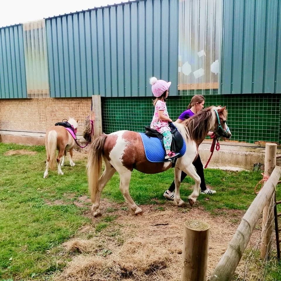 Newbridge Farm Park - Image 5