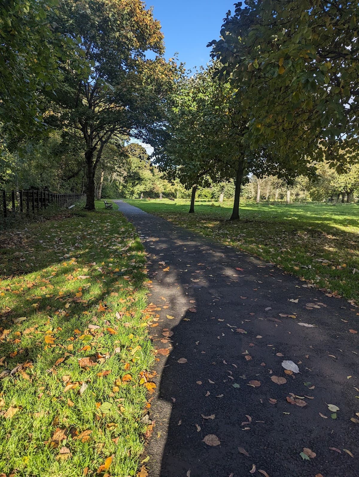 Auldhouse Park - Image 2