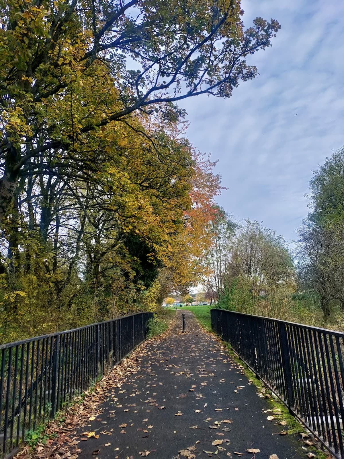 Auldhouse Park - Image 4