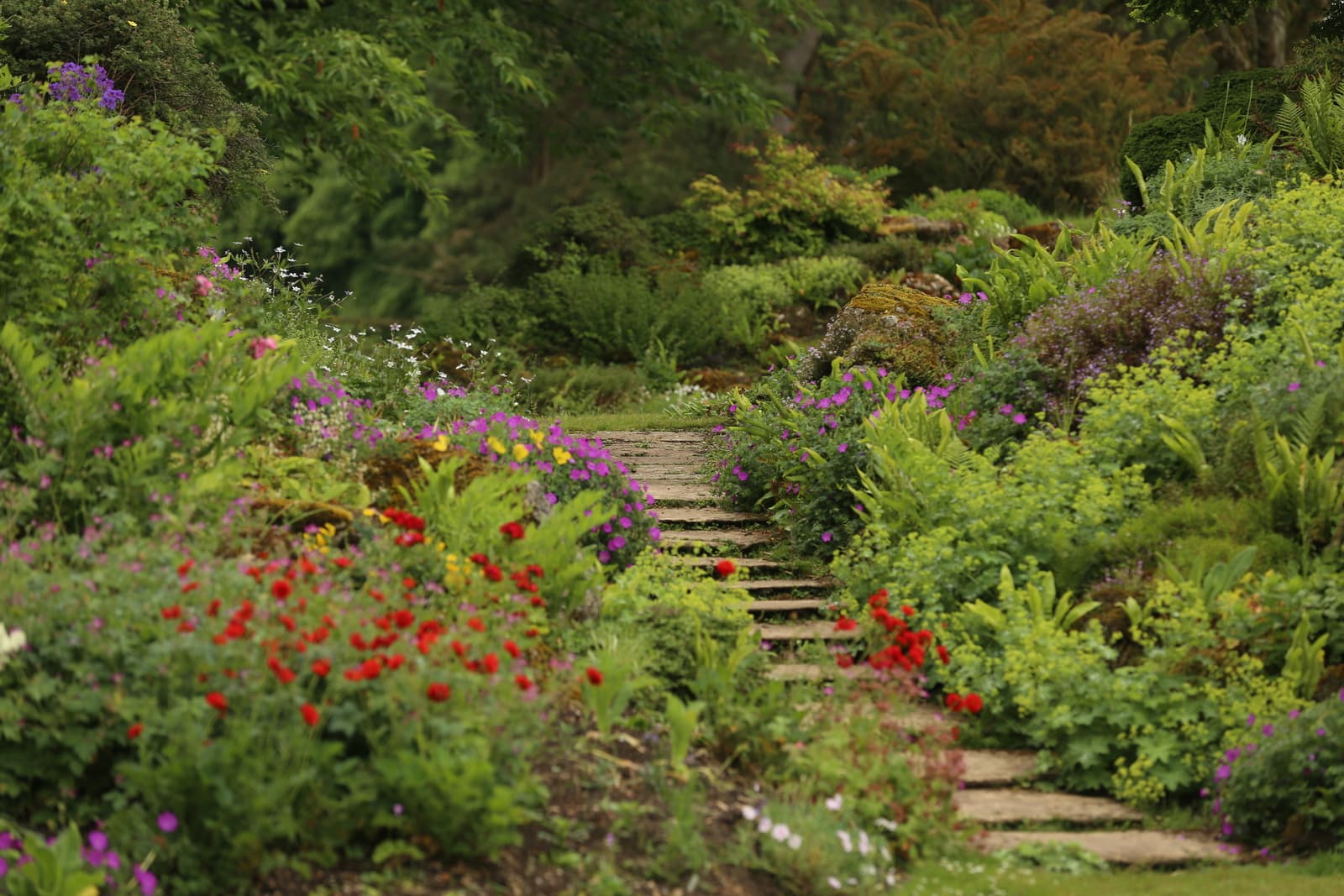 Forde Abbey and Gardens - Image 3