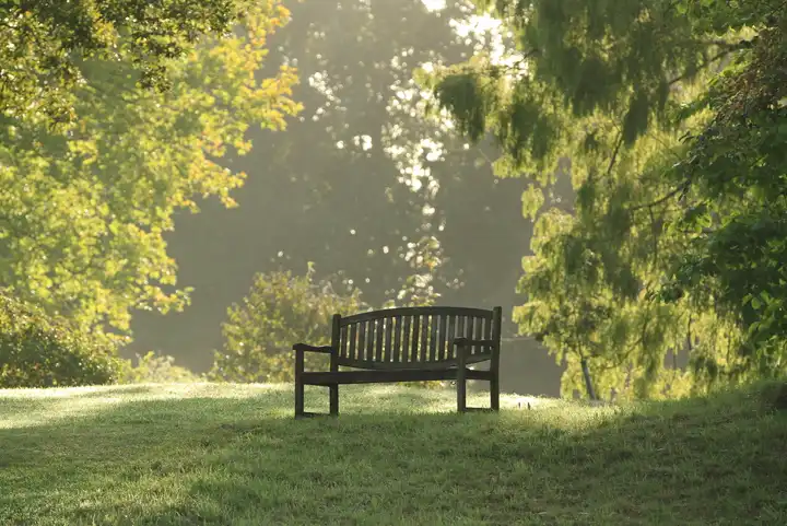Forde Abbey and Gardens - Image 4