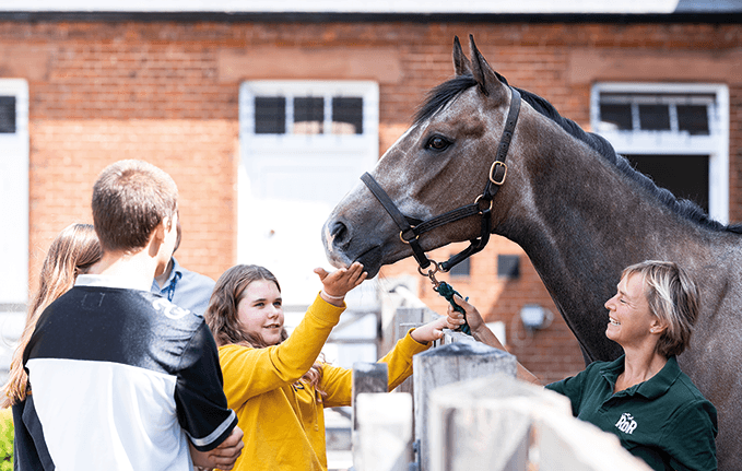 National Horseracing Museum - Main view