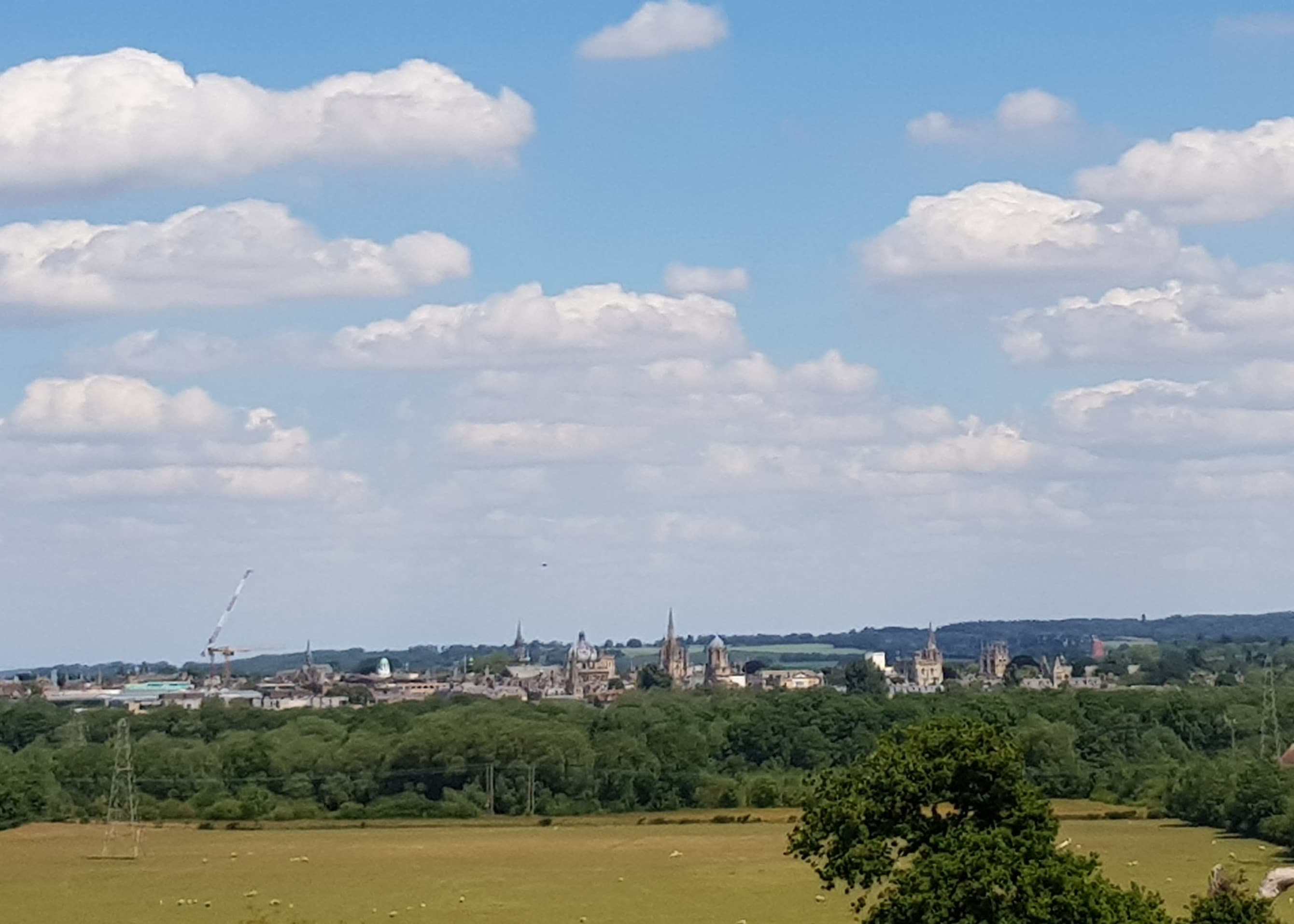 Hinksey Heights Nature Reserve - Main view
