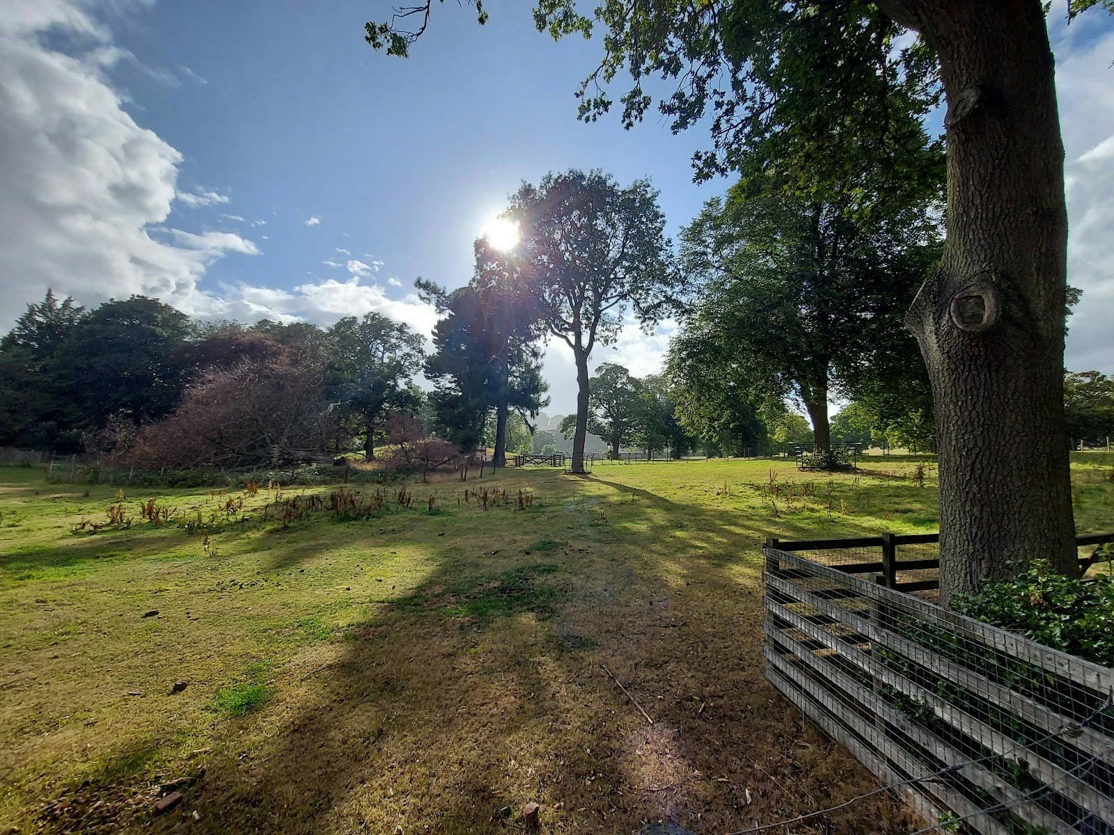 Mortonhall Walled Garden