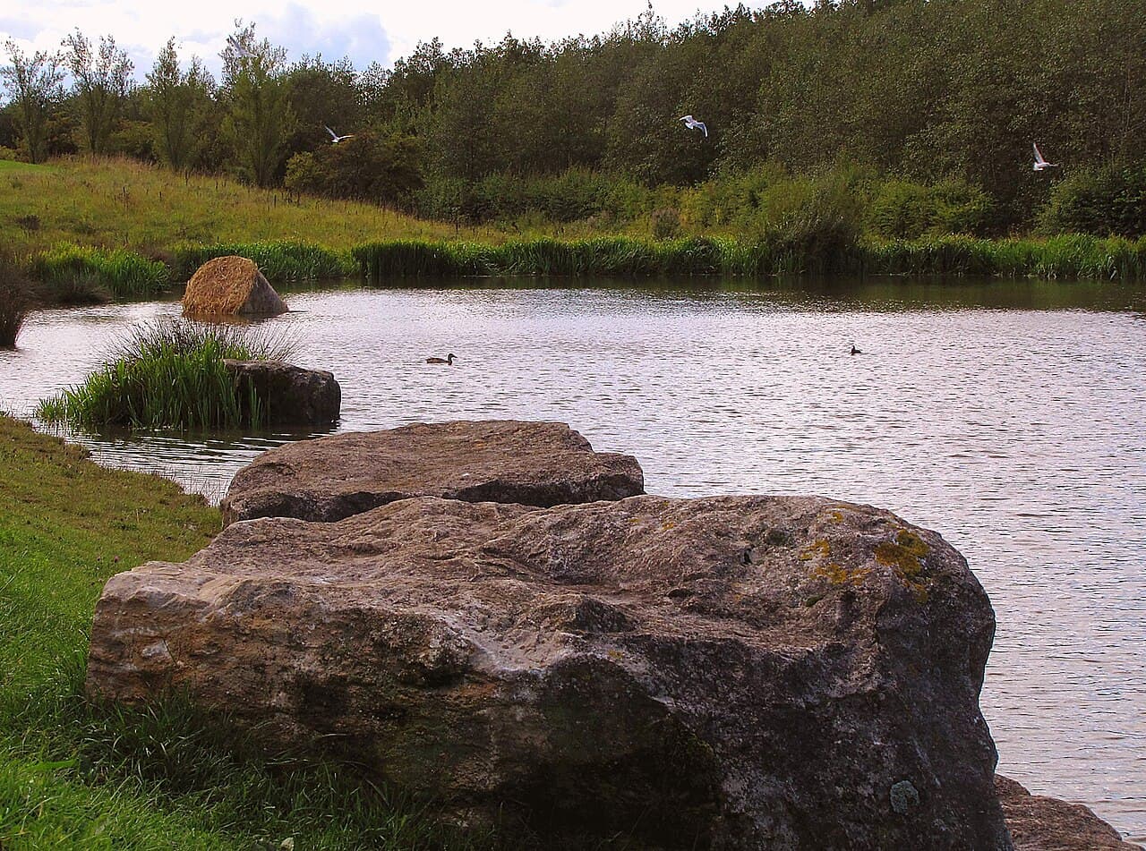 Herrington Country Park - Image 3