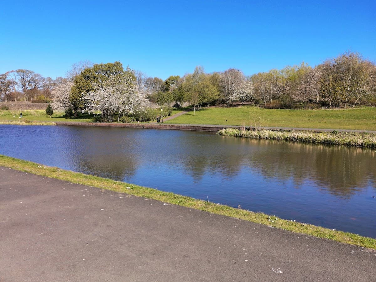Auchinlea Park - Image 3