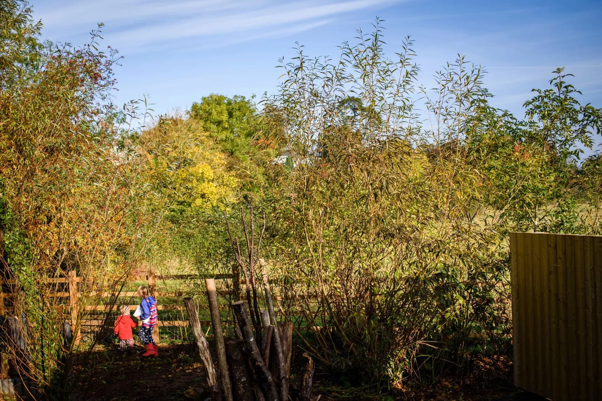 RSPB Bowling Green Marsh - Image 2