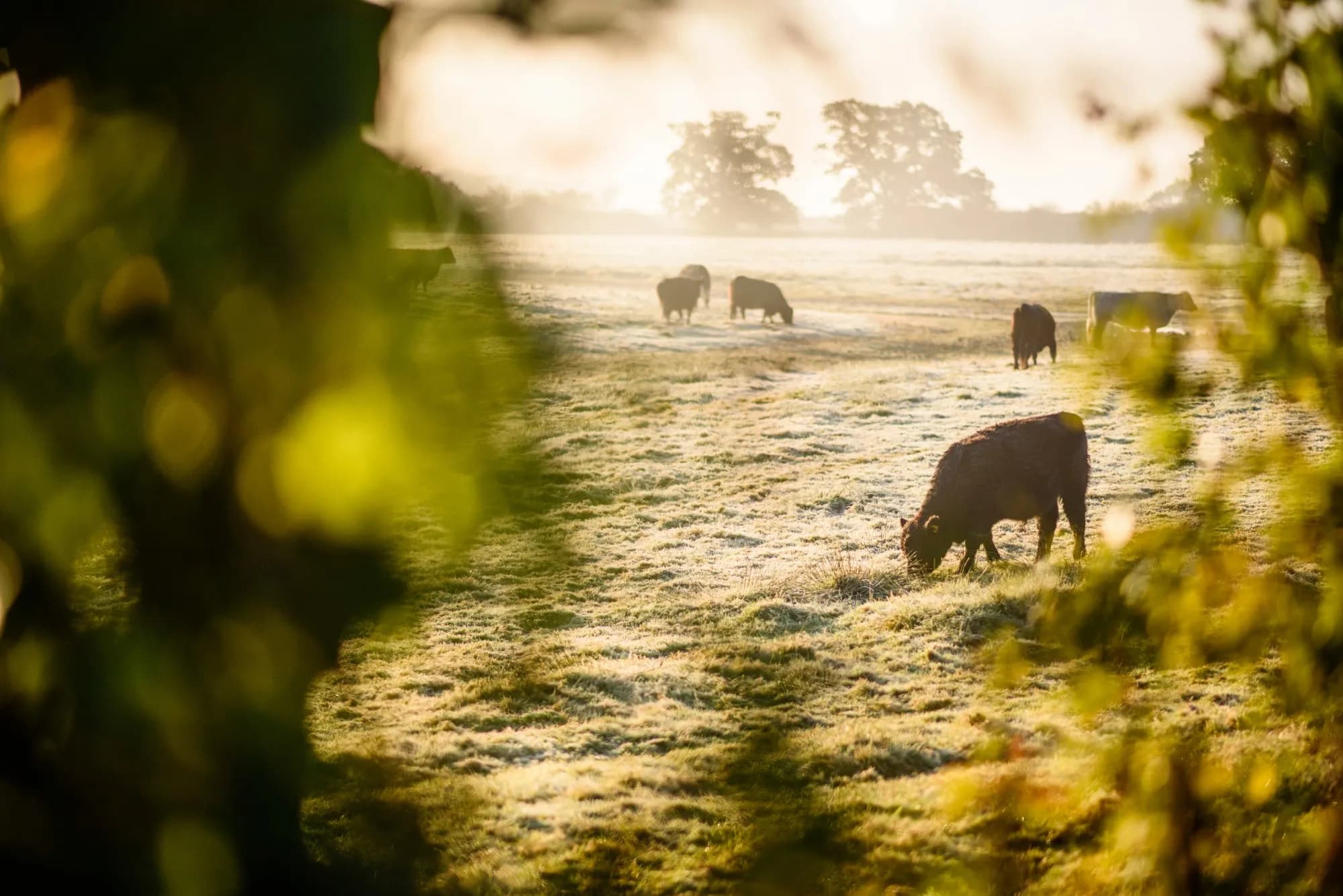 RSPB Bowling Green Marsh - Image 3