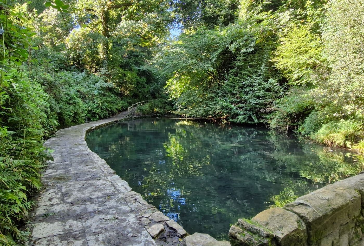 Yeovil Country Park - Image 1