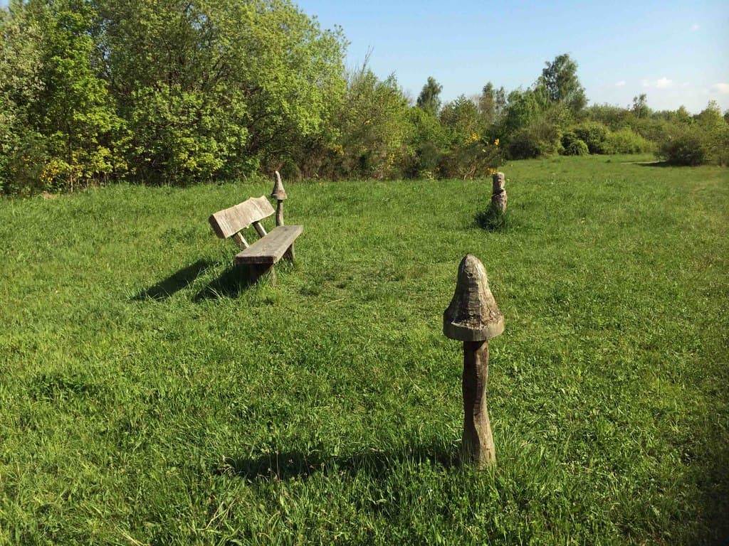 Newmillerdam Village Green - Image 2