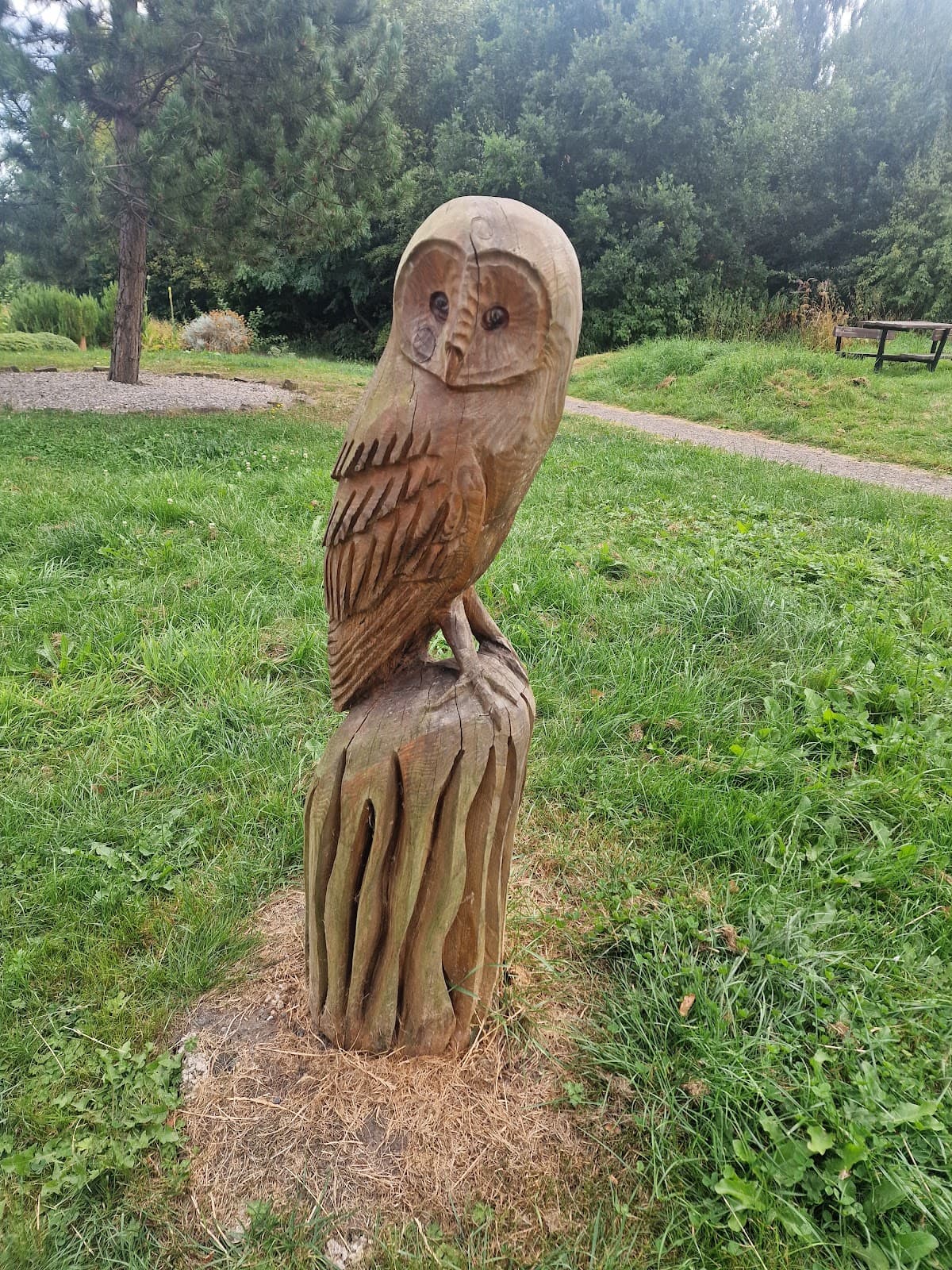 Newmillerdam Village Green - Image 3