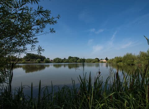 Wyken Slough - Image 1