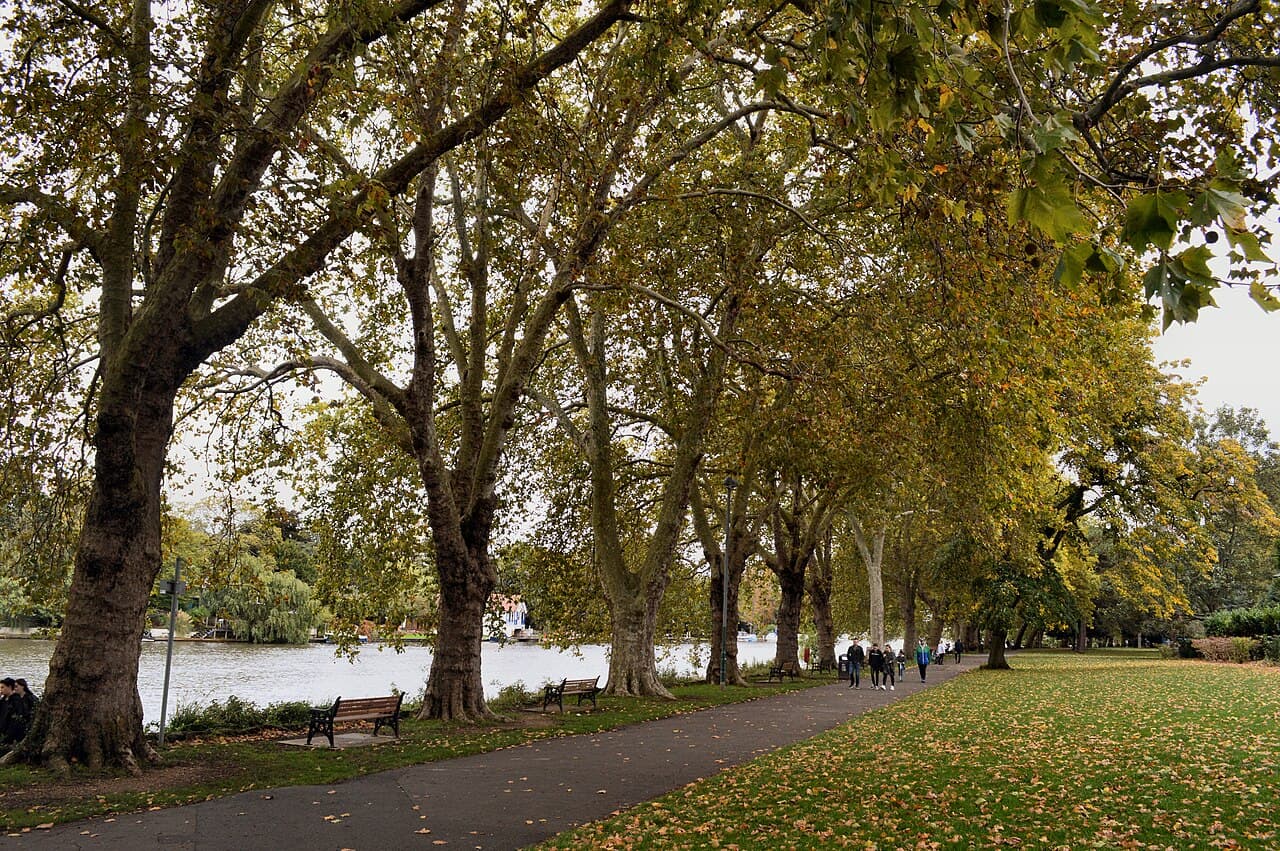 Canbury Gardens - Image 1