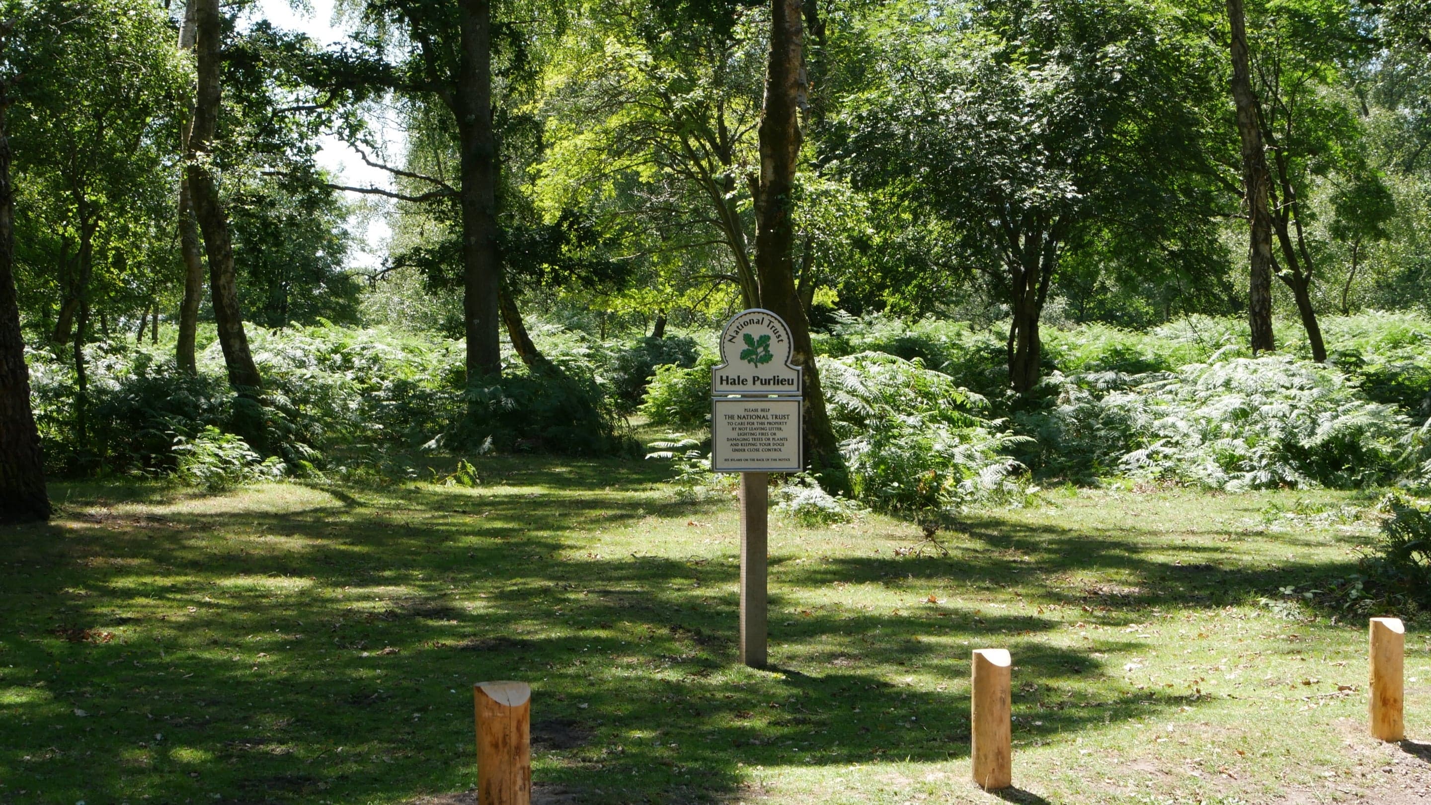 National Trust - New Forest Northern Commons - Image 3