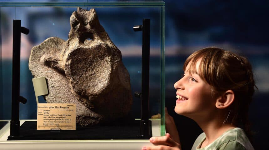 Yorkshire Museum - Image 3