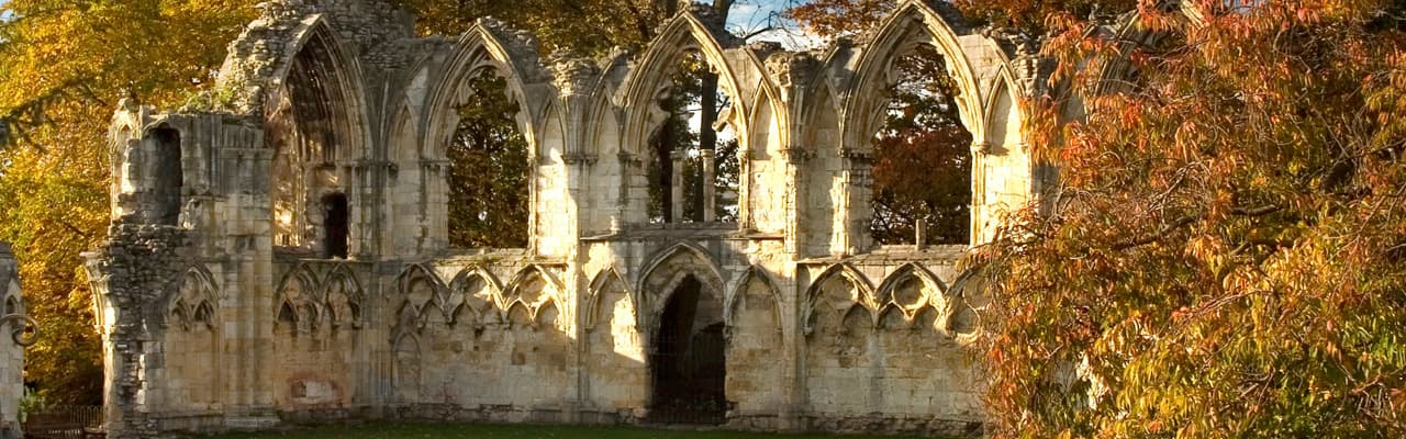 Museum Gardens - Image 2