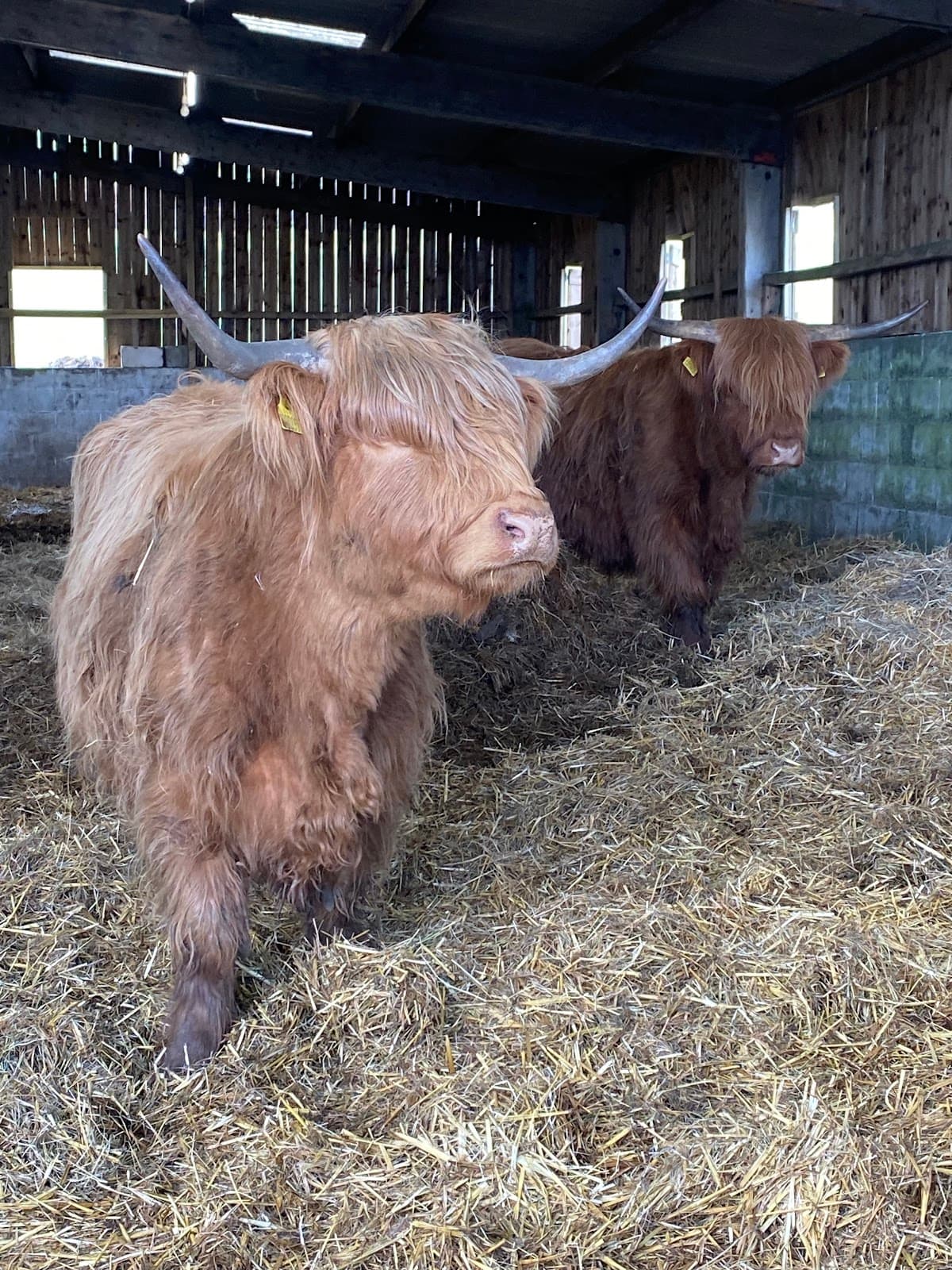 Gripps Farm Farmshop & Petting Farm - Image 1