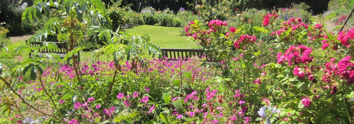 Hartland Abbey - Image 3
