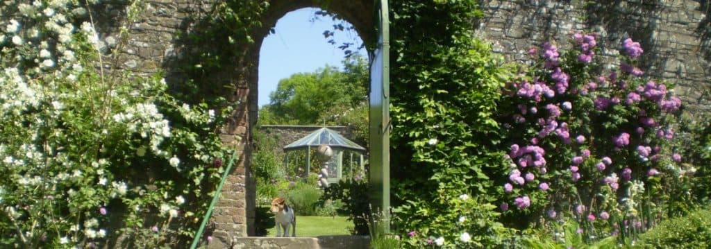 Hartland Abbey - Image 4