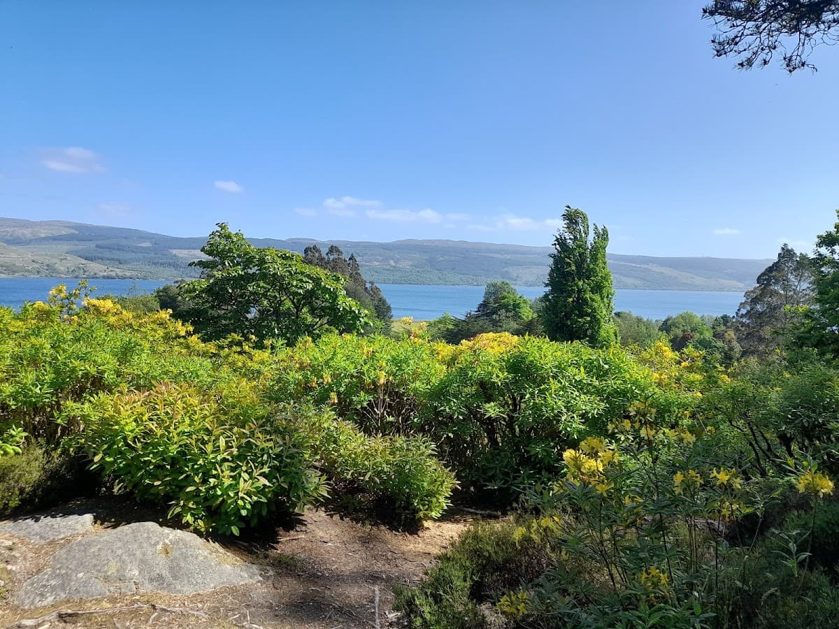 Crarae Woodland Garden (National Trust for Scotland) - Image 3