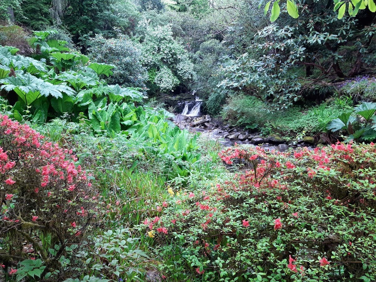 Crarae Woodland Garden (National Trust for Scotland) - Image 4