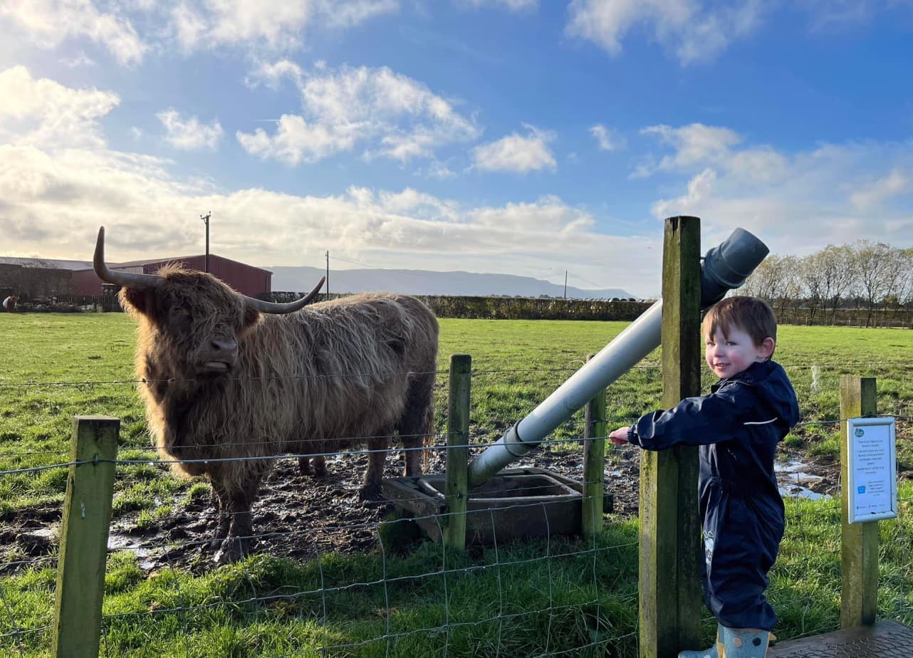 Briarlands Farm Park - Image 2