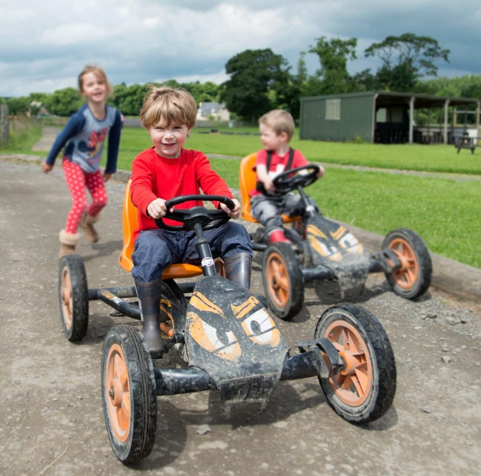 Briarlands Farm Park - Image 4
