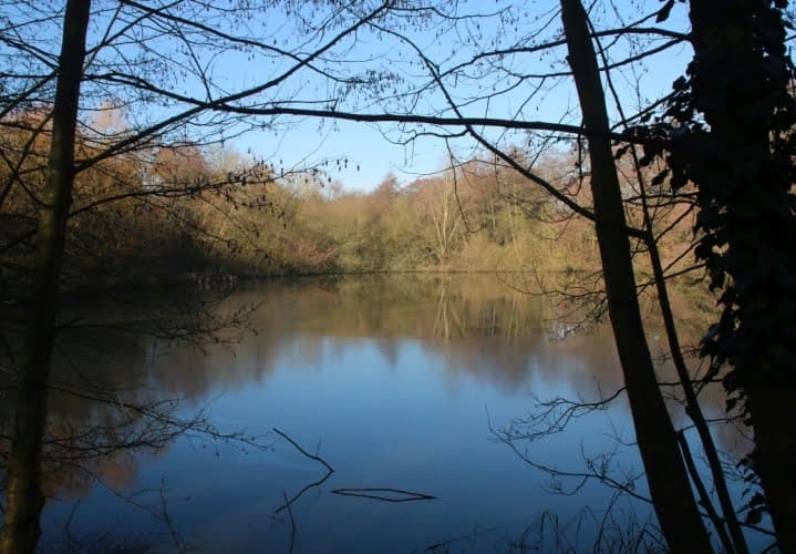 Darlands Nature Reserve - Image 2