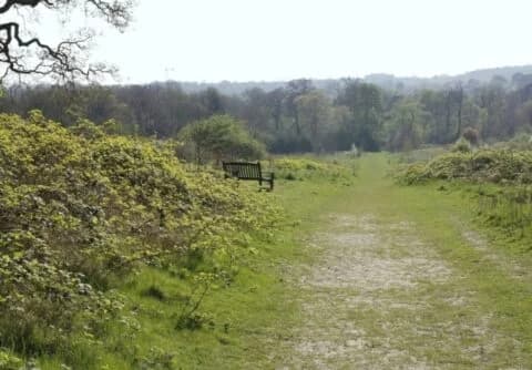 Darlands Nature Reserve - Image 3