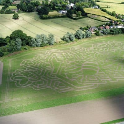 Lichfield Maize Maze - Main view