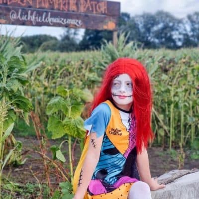 Lichfield Maize Maze - Image 3