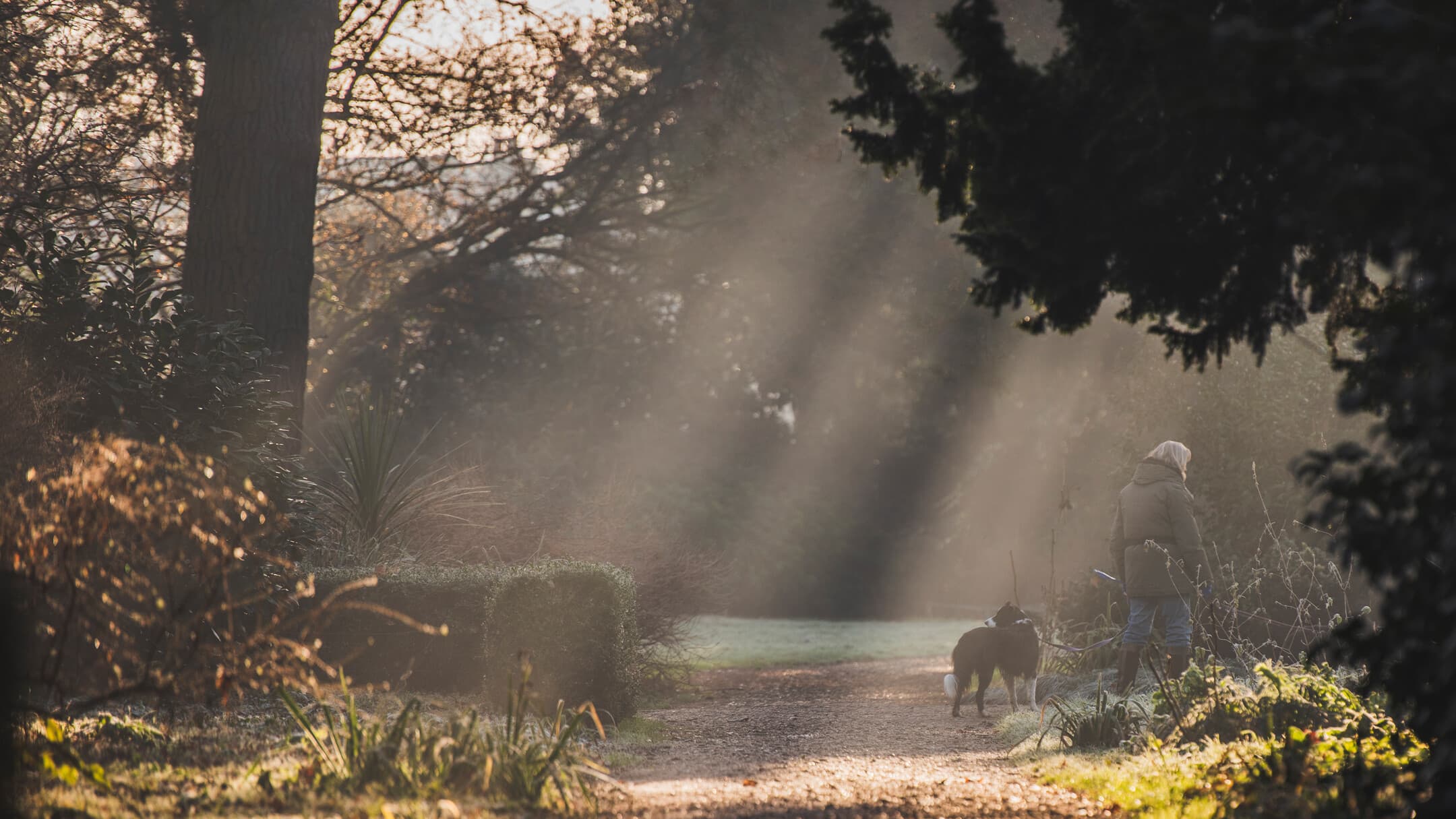 Chiswick House and Gardens - Image 3
