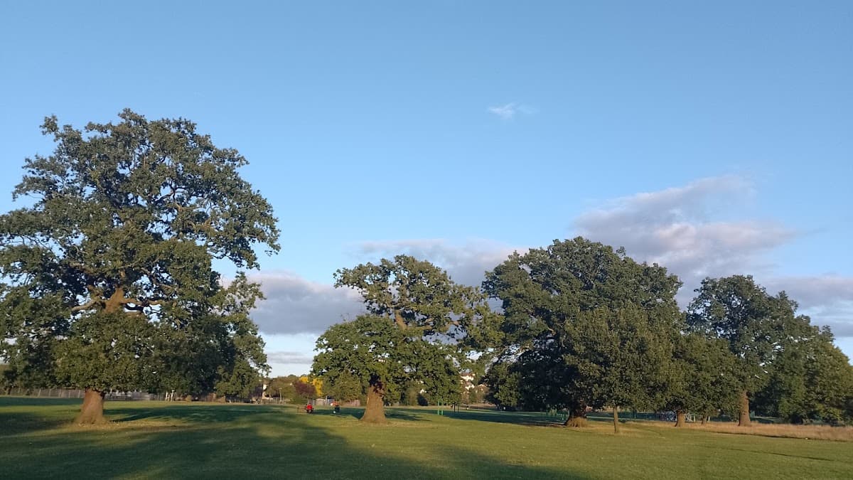 Roe Green Park - Main view