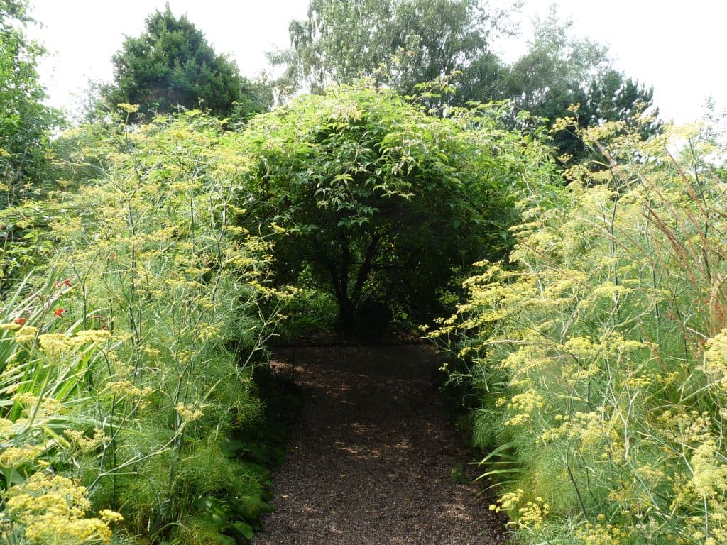 The Dorothy Clive Garden - Image 2